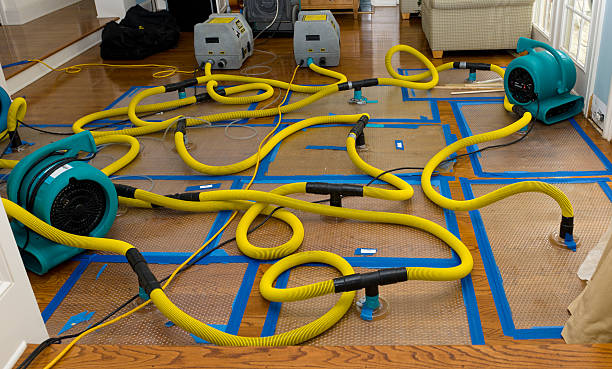 Professional Water Damage Restoration technician working in Pittsville, WI